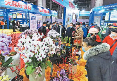 農產品展銷人氣旺